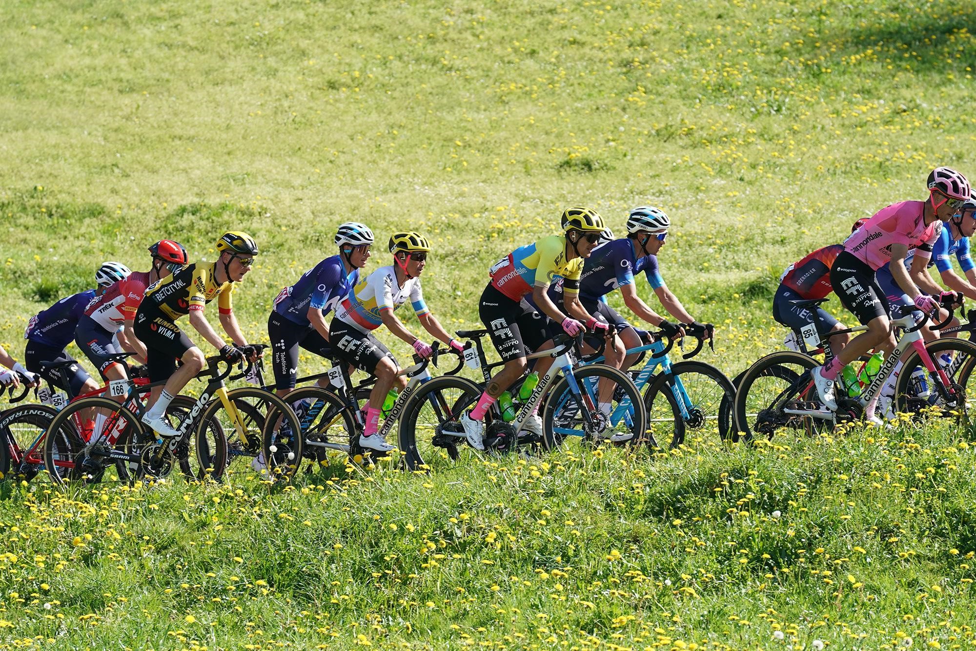 The pro peloton in full force up the climbs at the Giro