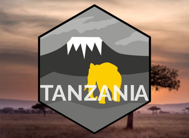 FEEL THE TANZANIAN ATMOSPHERE