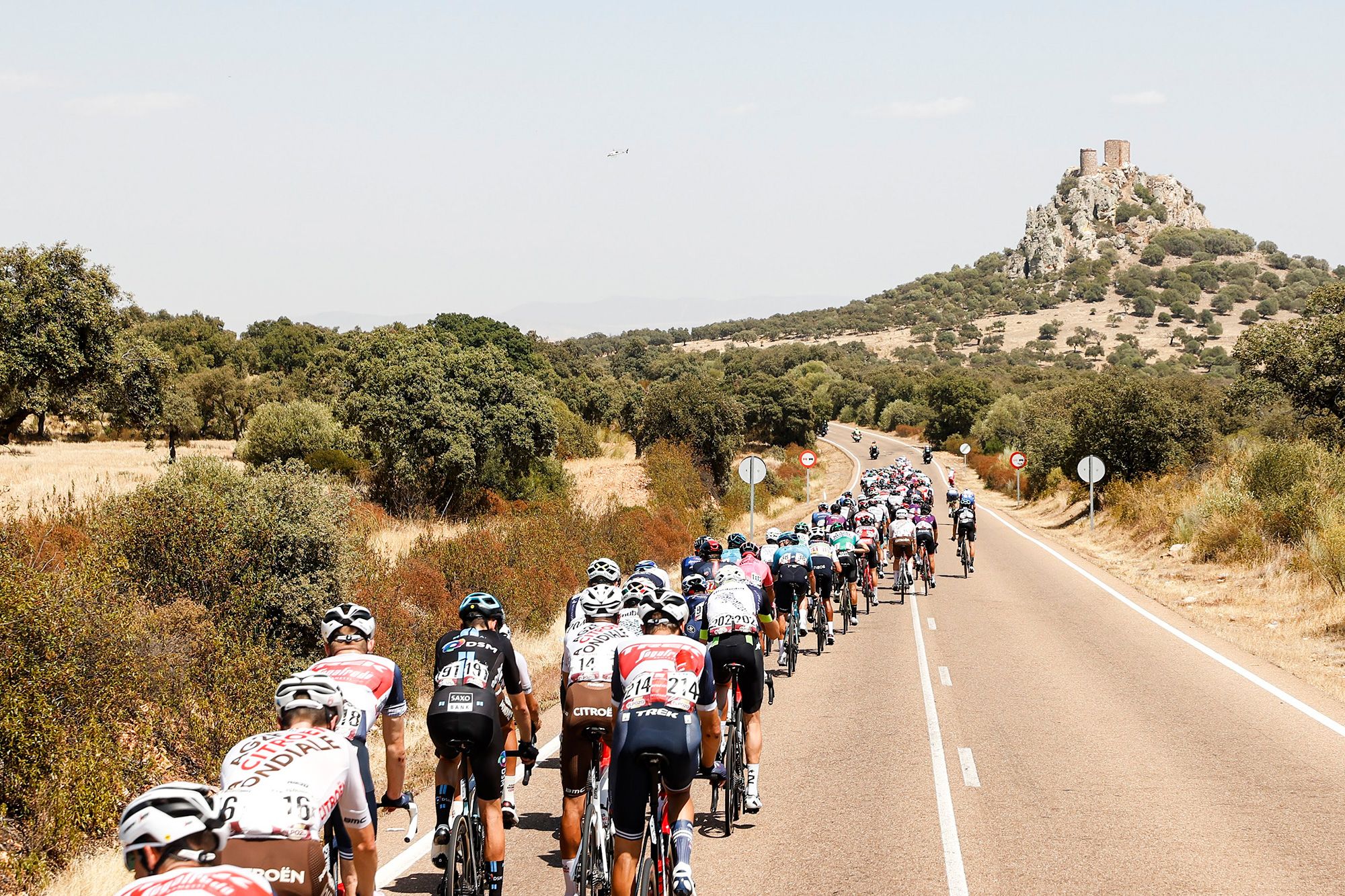 La Vuelta peloton racing along the rugged Spanish countryside