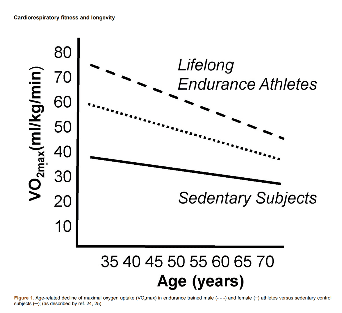 Maximizing VO2 Max for Endurance Top Training Tips ROUVY