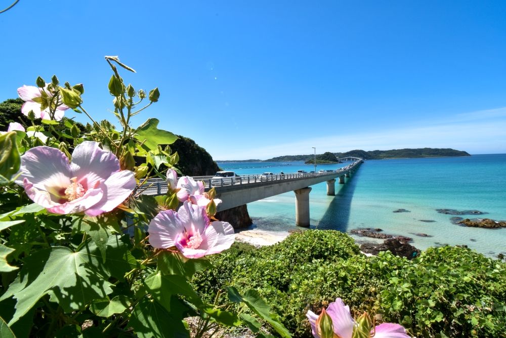 Yamaguchi